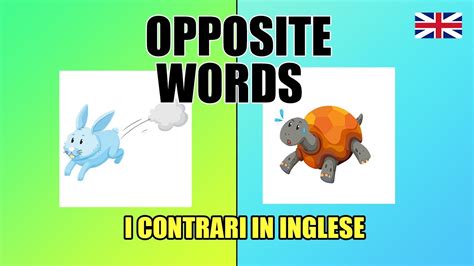 sinonimi e contrari inglese|google synonyme english.